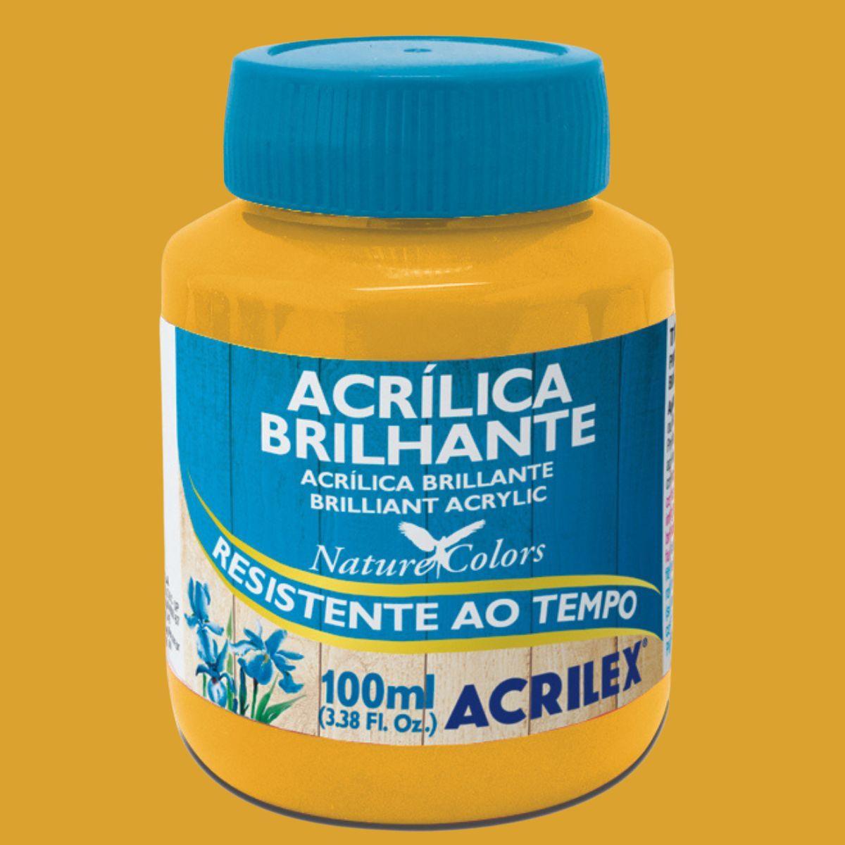 Tinta Acrílica Brilhante Acrilex 100ml Nature Colors Resistente ao Tempo - Palácio da Arte