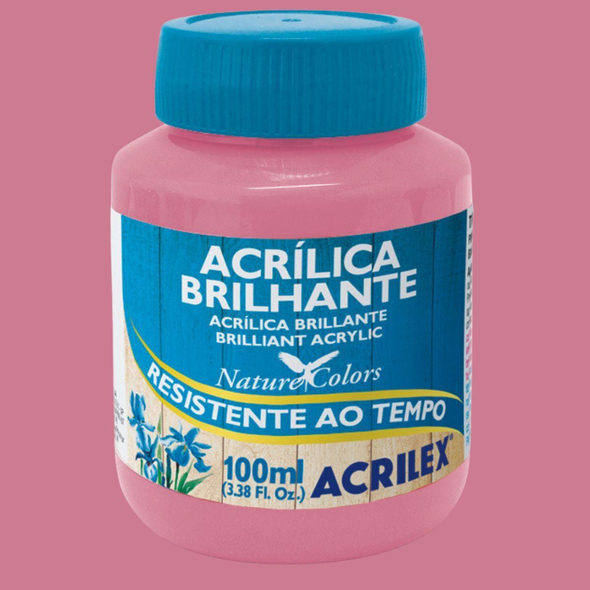 Tinta Acrílica Brilhante Acrilex 100ml Nature Colors Resistente ao Tempo - Palácio da Arte