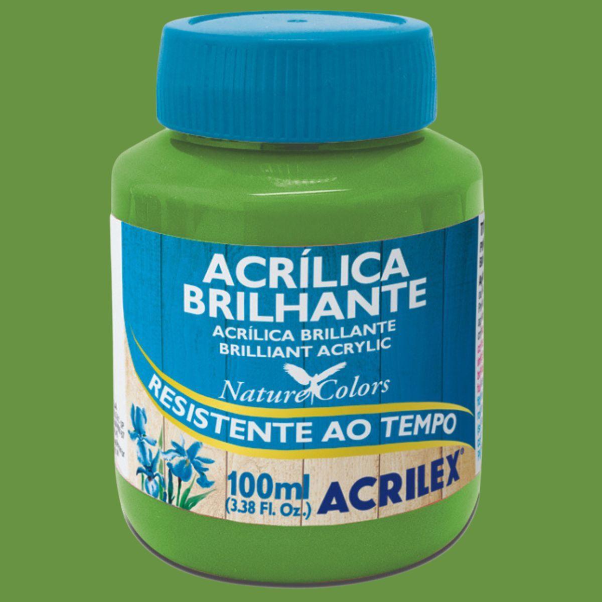 Tinta Acrílica Brilhante Acrilex 100ml Nature Colors Resistente ao Tempo - Palácio da Arte