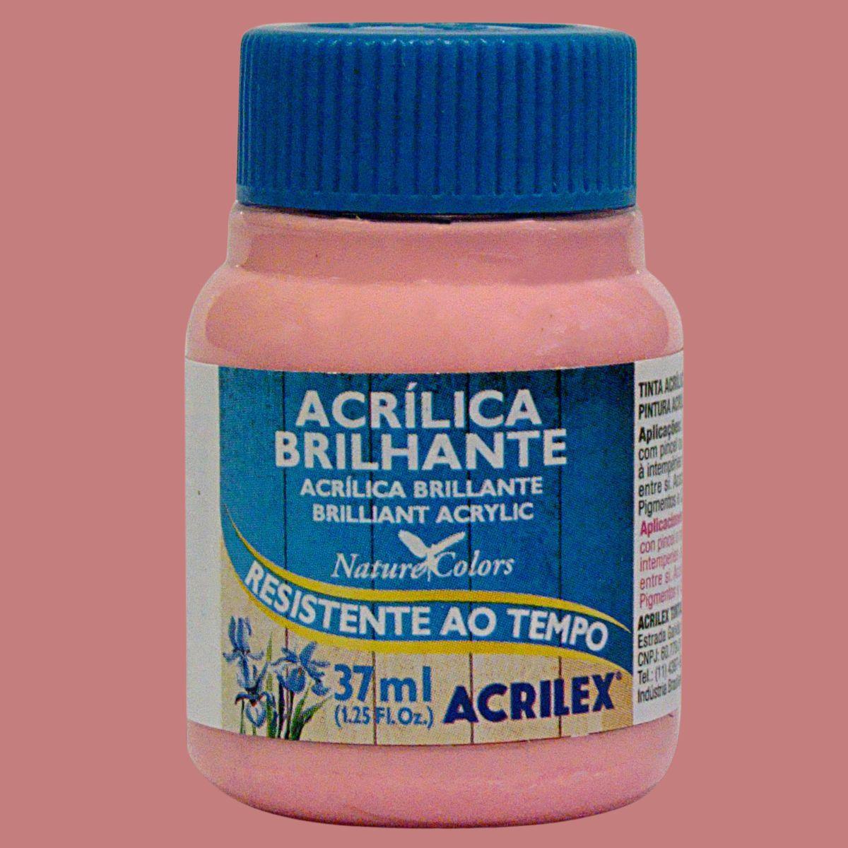 Tinta Acrílica Brilhante Acrilex 37ml Nature Colors Resistente ao Tempo - Palácio da Arte