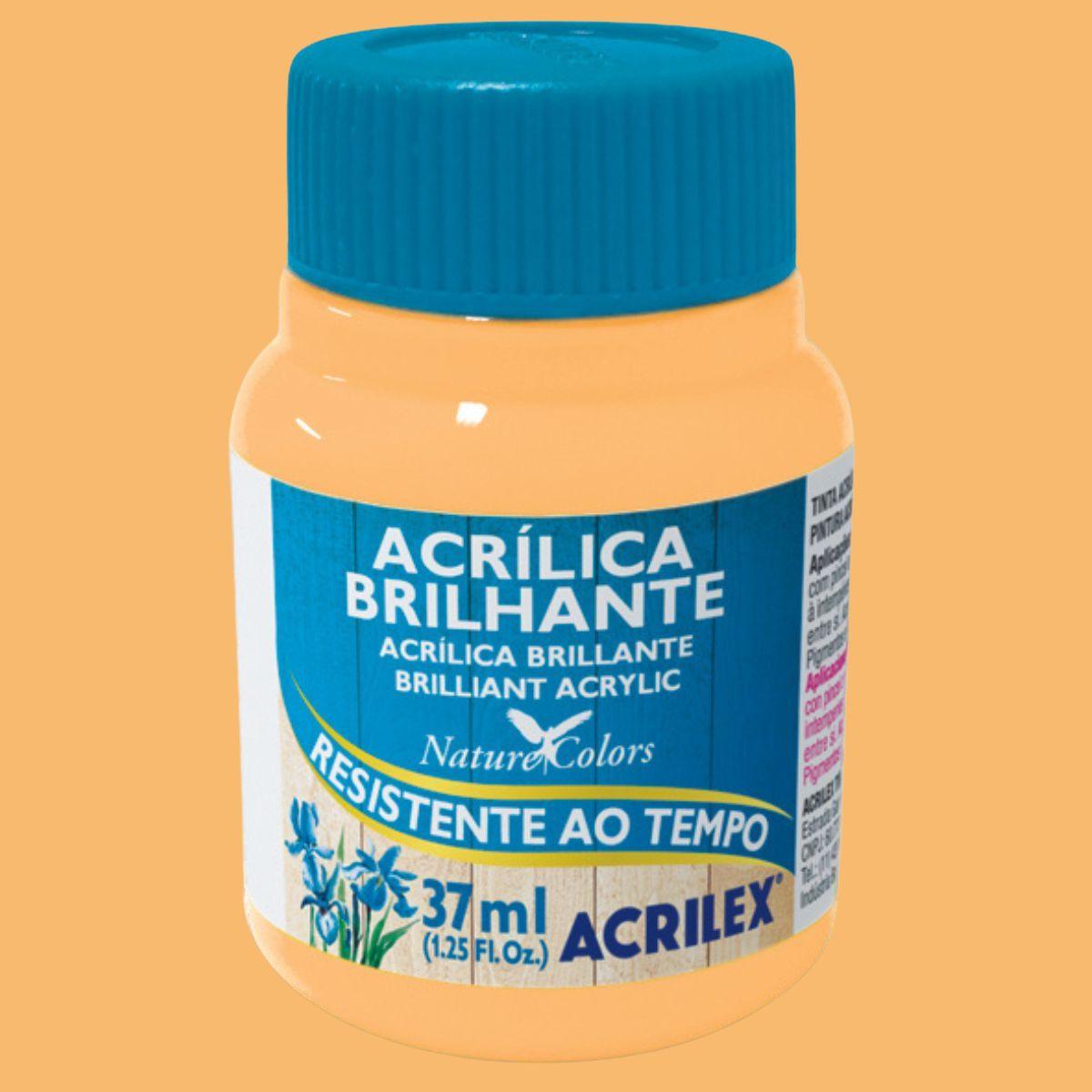 Tinta Acrílica Brilhante Acrilex 37ml Nature Colors Resistente ao Tempo - Palácio da Arte