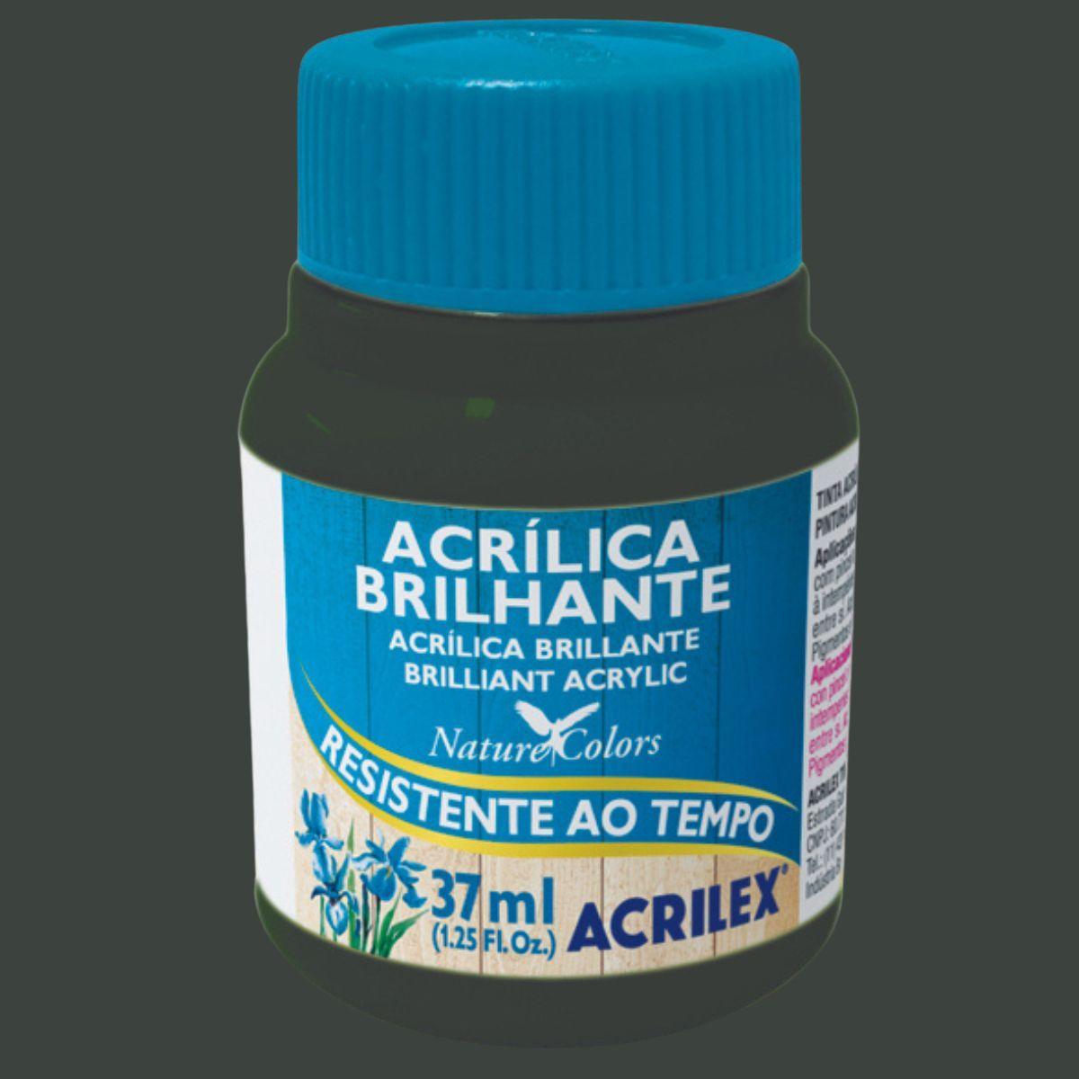 Tinta Acrílica Brilhante Acrilex 37ml Nature Colors Resistente ao Tempo - Palácio da Arte