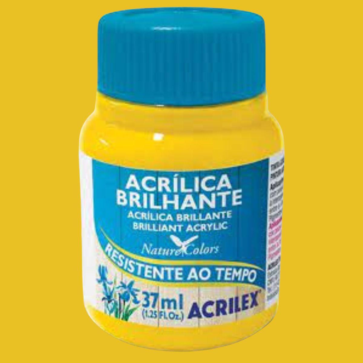 Tinta Acrílica Brilhante Acrilex 37ml Nature Colors Resistente ao Tempo - Palácio da Arte