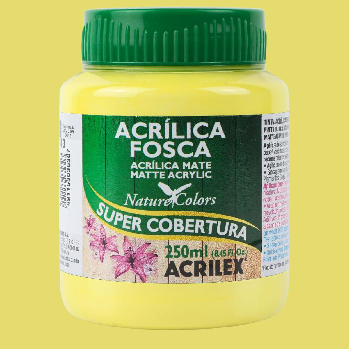 Tinta Acrílica Fosca Acrilex 250ml Nature Colors Alta Cobertura - Palácio da Arte