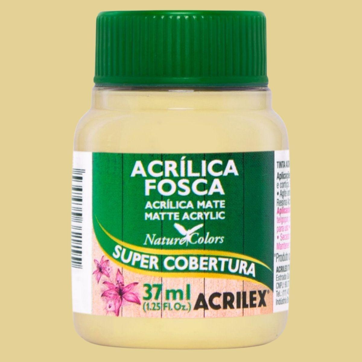 Tinta Acrílica Fosca Acrilex 37ml Nature Colors Alta Cobertura - Palácio da Arte