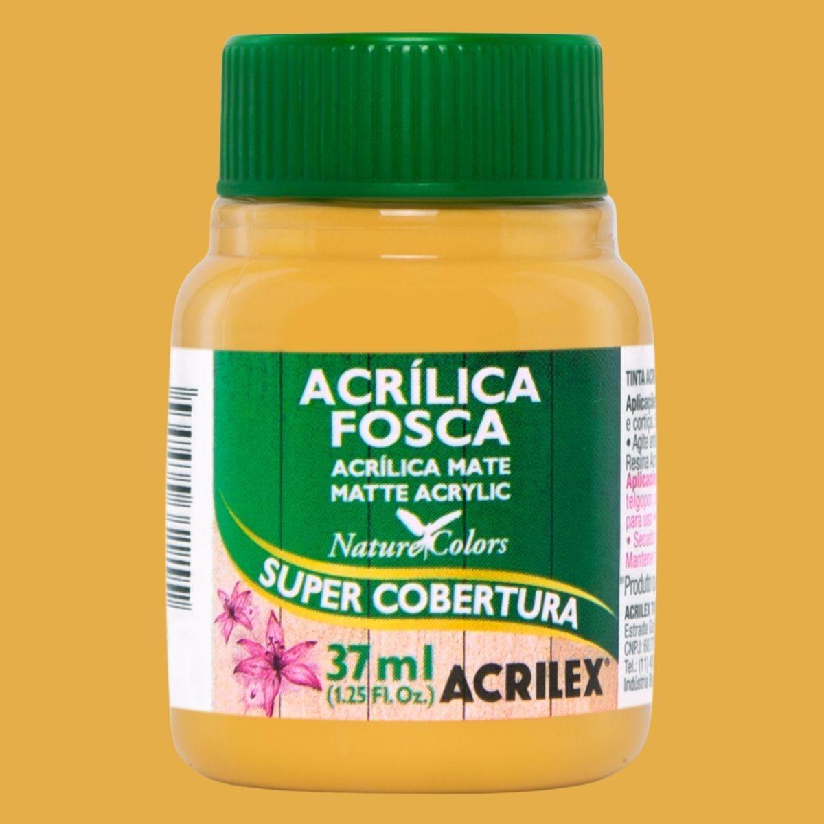 Tinta Acrílica Fosca Acrilex 37ml Nature Colors Alta Cobertura - Palácio da Arte