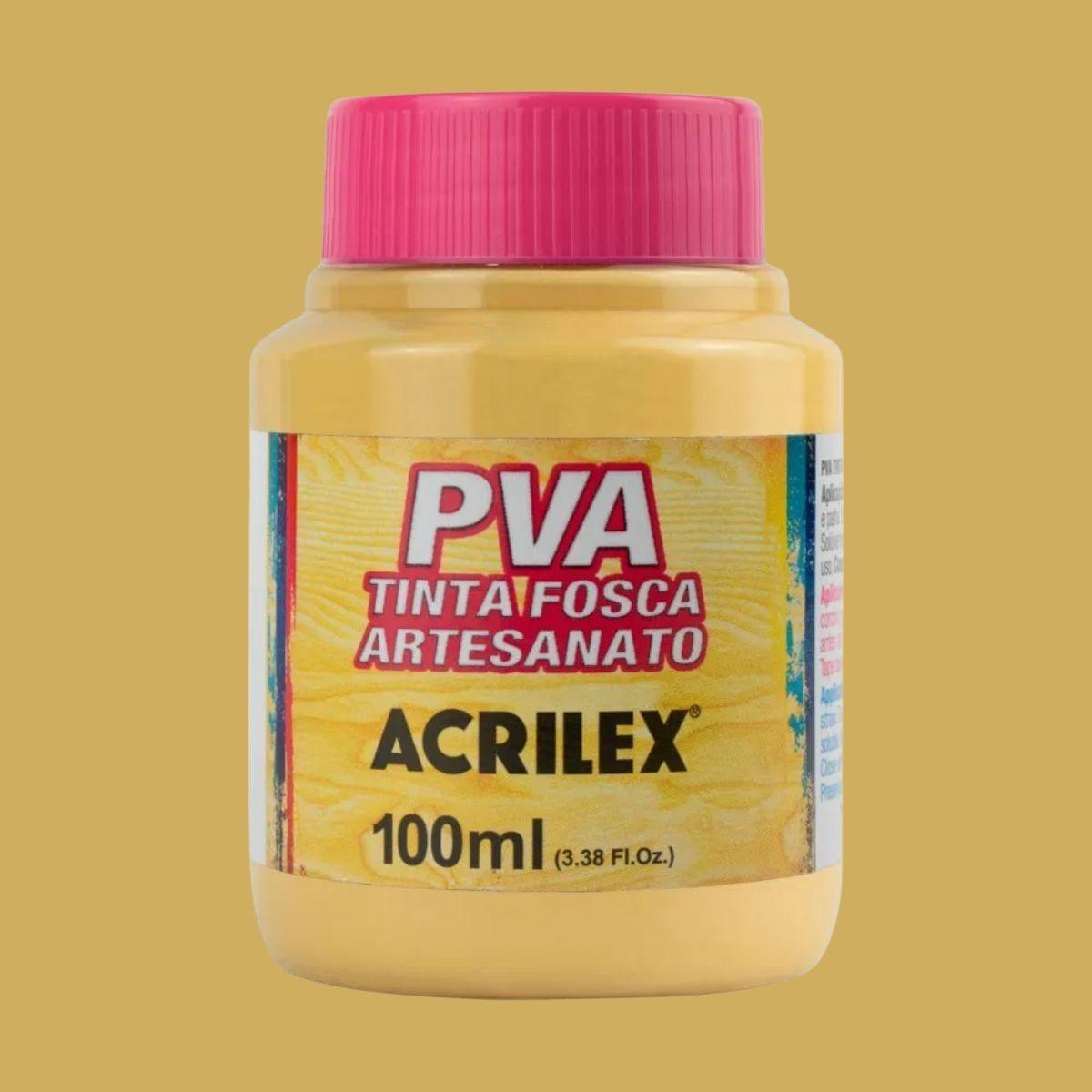 Tinta PVA Acrilex 100ml Fosca Artesanato - Palácio da Arte