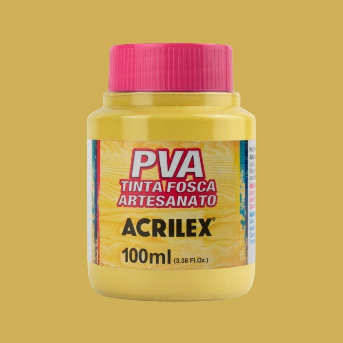 Tinta PVA Acrilex 100ml Fosca Artesanato - Palácio da Arte