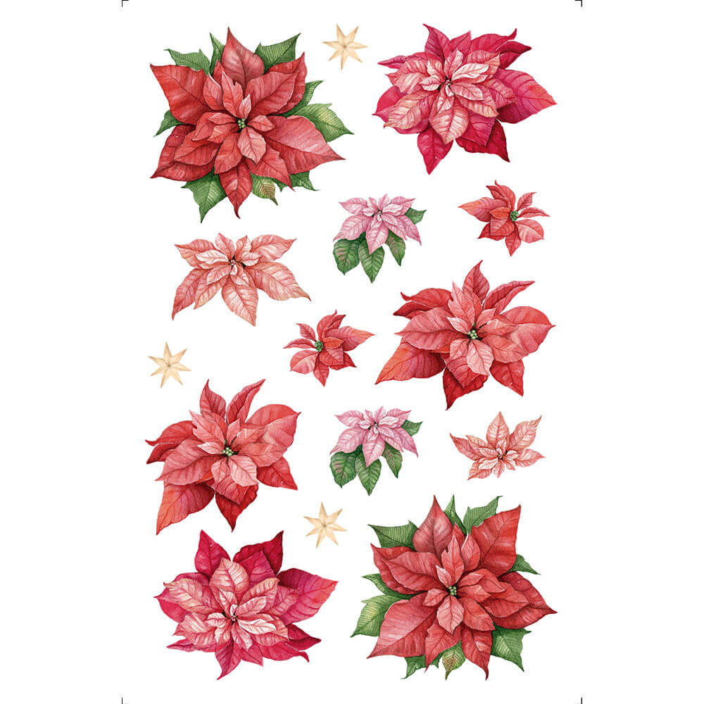 Transfer de Imagem 10x15 TISN-014 Natal Poinsétias - Palácio da Arte