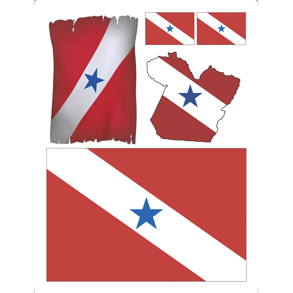 Transfer de Imagem Litoarte 9,8x7,5cm TI-015 Bandeira do Pará - Palácio da Arte