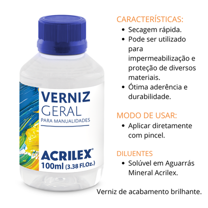 Verniz Geral Acrilex Brilhante 100ml Brilho e Proteção