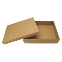 Caixa Tampa de Sapato Retangular em MDF 25x20x5cm Lisa - Palácio da Arte