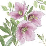 Guardanapo Decoupage Classic Helleborus 33318015 Ambiente com 2 peças - Palácio da Arte