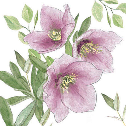 Guardanapo Decoupage Classic Helleborus 33318015 Ambiente com 2 peças - Palácio da Arte