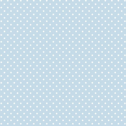 Papel Scrapbook Essencial Litoarte SE-008 Estrelinhas Branco e Azul 30,5x30,5cm - Palácio da Arte