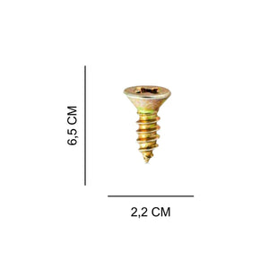 Parafuso Cabeça Chato 2,2x6,5mm Dourado Kit com 20 peças - Palácio da Arte