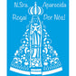 Stencil Litoarte 17x21 STM-544 Nossa Senhora Aparecida - Palácio da Arte