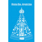 Stencil Litoarte 21x34 ST-006 Nossa Senhora Aparecida - Palácio da Arte